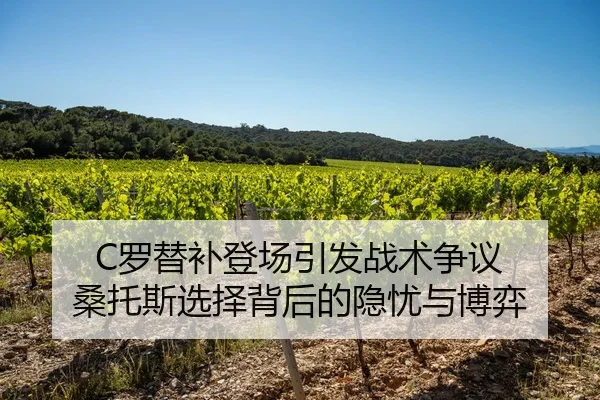 C罗替补登场引发战术争议 桑托斯选择背后的隐忧与博弈