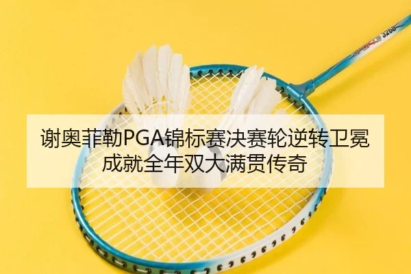 xie-ao-fei-lei-jin-biao-sai-jue-sai-lun-ni-zhuan-wei-mian-cheng-jiu-quan-nian-shuang-da-man-guan-chuan-qi-2-363.jpg
